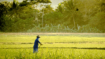 Tư Trúc và những đóng góp cho Xã hội - Cộng đồng